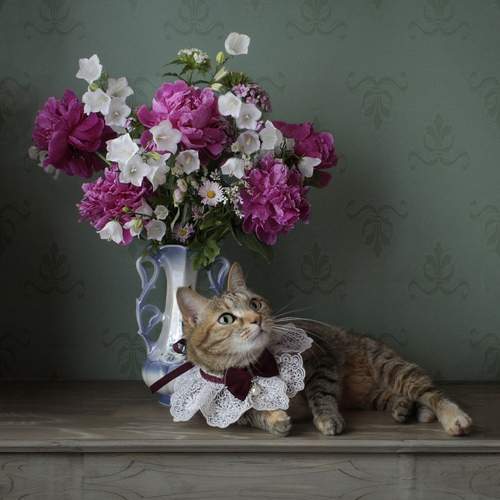 Photo #13725548