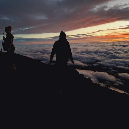 Photo #13725557