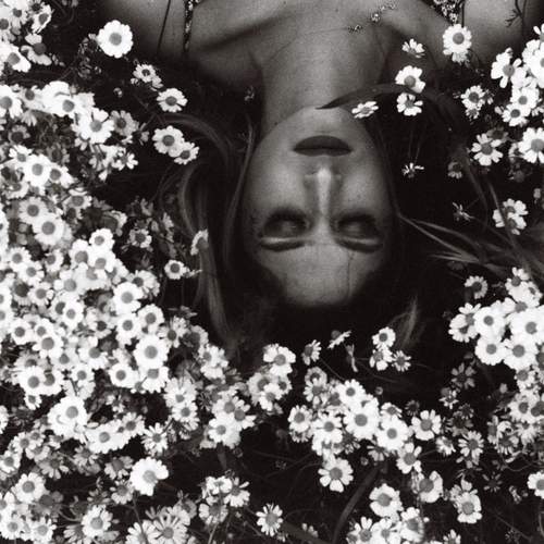 Photo #13725561