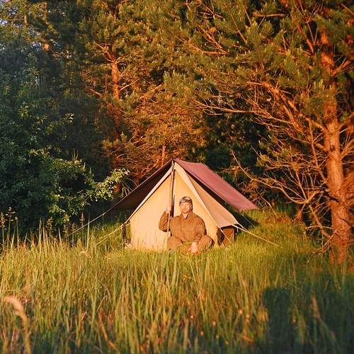 Photo #13725591