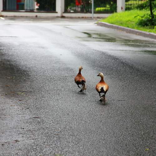 Photo #13725629