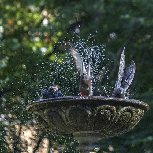 Photo #13725635