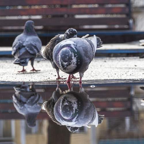 Photo #13725637