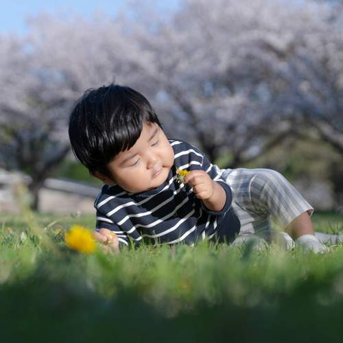 Photo #13725646