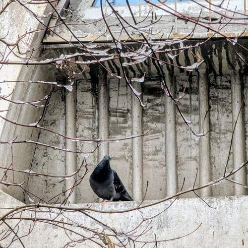 Photo #13725647