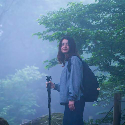 Into the Mist