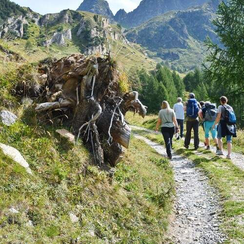 Photo #13725710