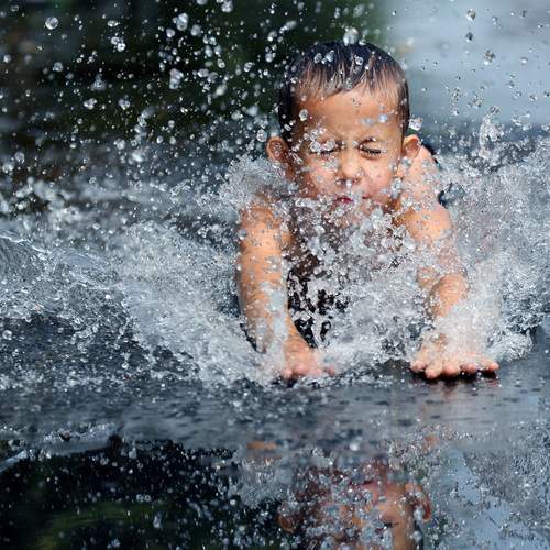 Photo #13725718