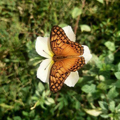 Photo #13725777