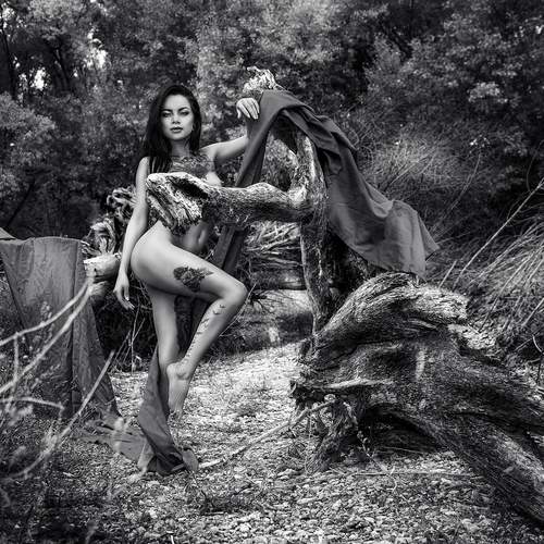 Photo #13725795