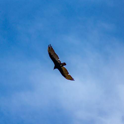 Photo #13725839