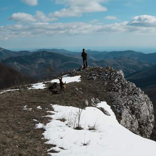 Photo #13725869