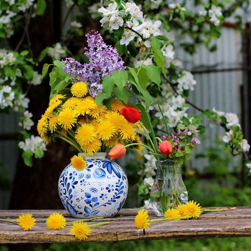 Photo #13725923