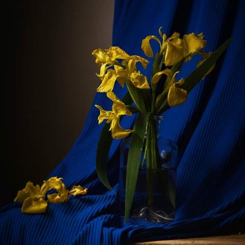 Photo #13725988