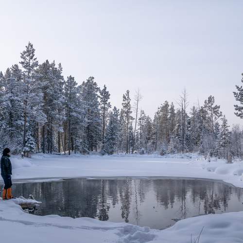 Photo #13726025