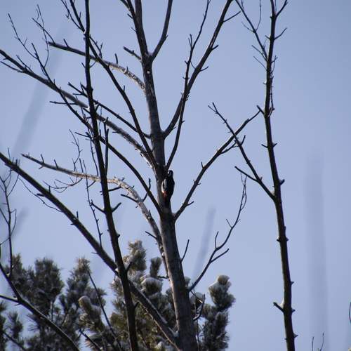 Photo #13726050