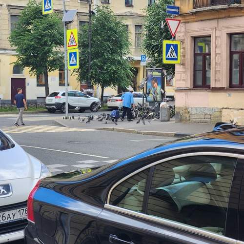 Photo #13726086