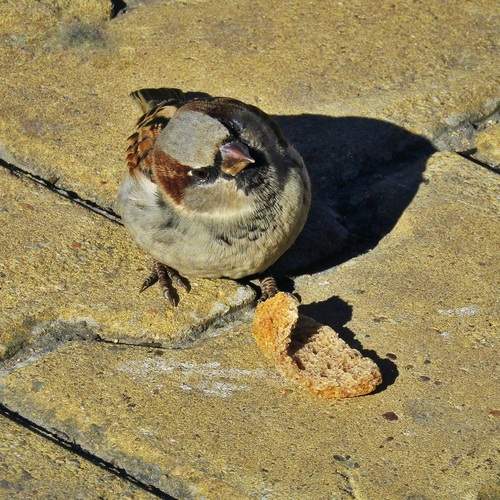 Photo #13726127