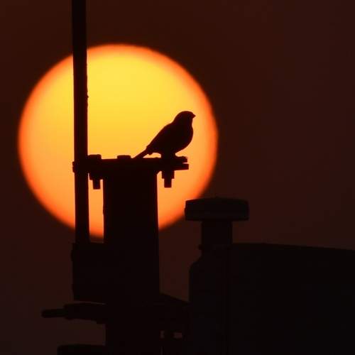 Photo #13726139