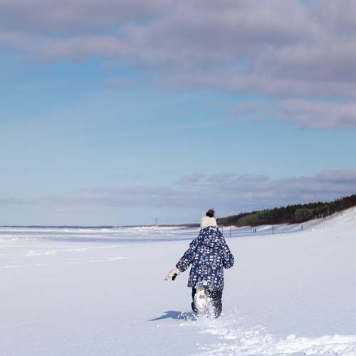 Photo #13726218