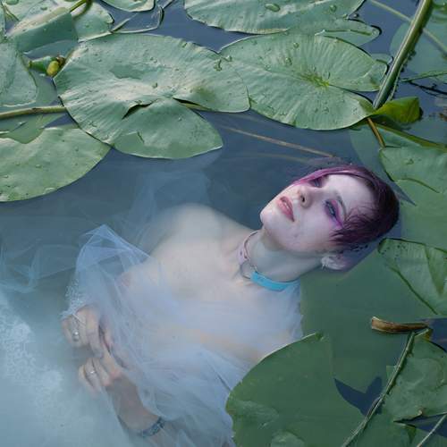 Photo #13726232