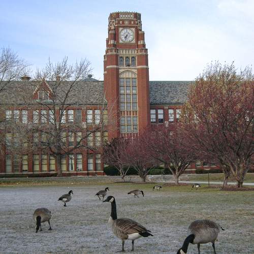 Photo #13726250