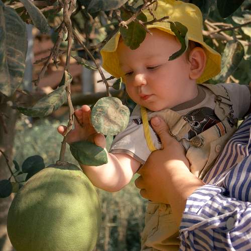 Photo #13726295