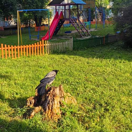 Photo #13726326