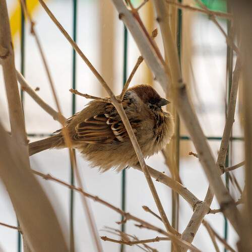 Photo #13726387