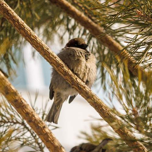 Photo #13726404