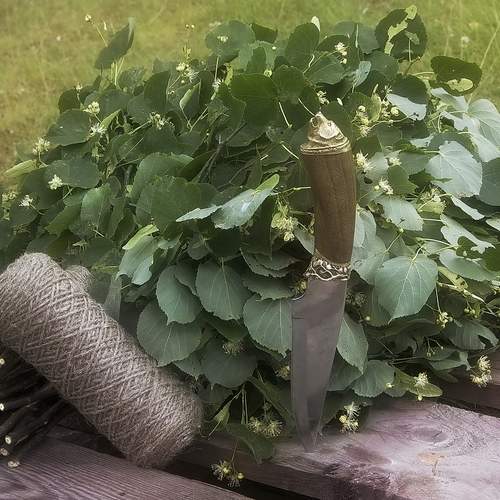 Банное
