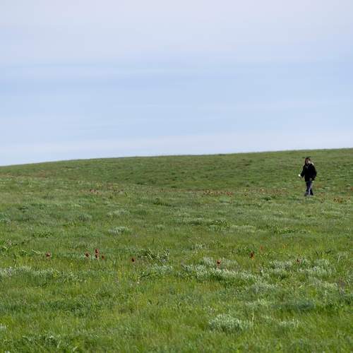 Photo #13726530