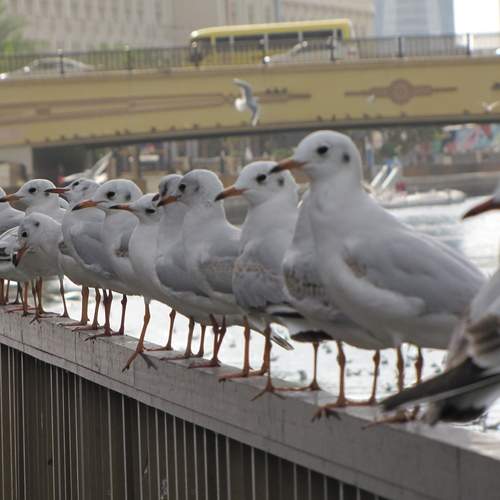 Photo #13726543