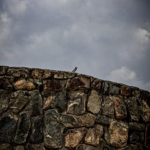 Photo #13726587