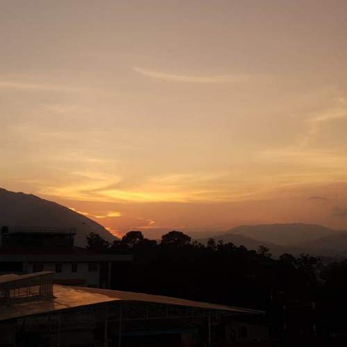 Golden Silence Over Maharajgunj