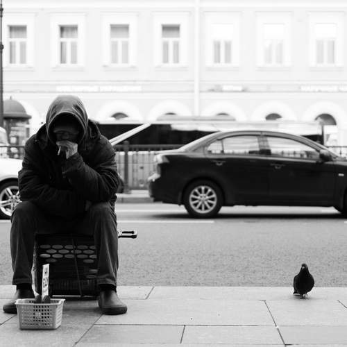 Photo #13726676