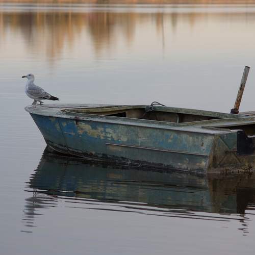 Photo #13726784