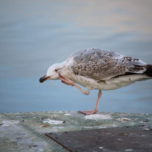 Photo #13726786