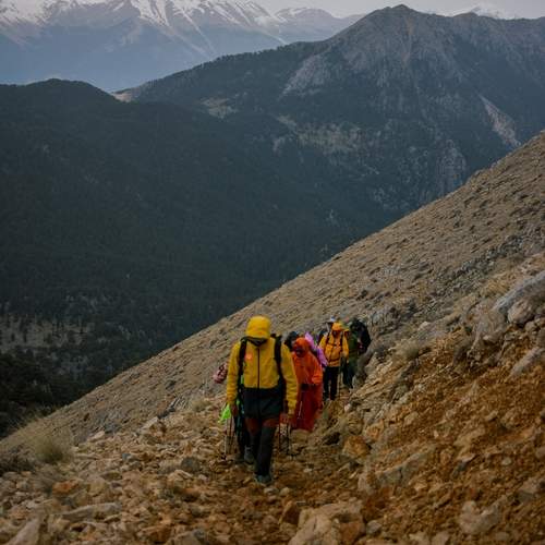 Photo #13726806
