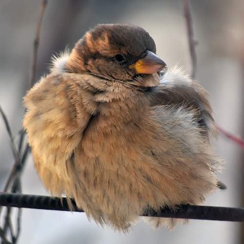 Photo #13726839