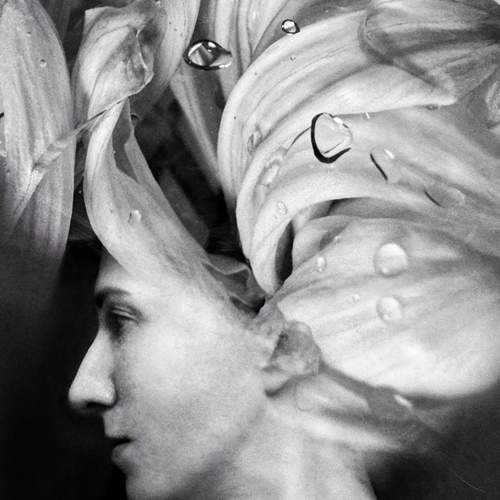 Photo #13726969