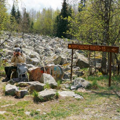 Photo #13727002