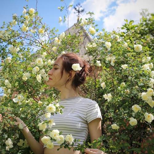 Photo #13727059