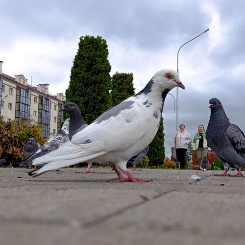 Photo #13727076