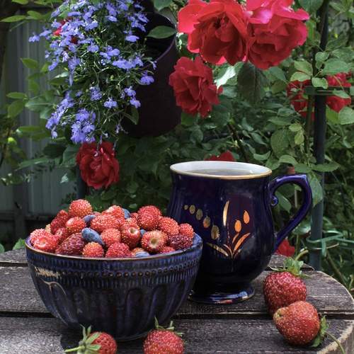 Photo #13727209
