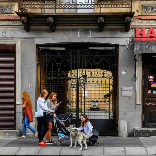 Photo #13727232