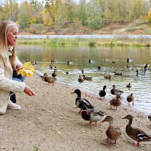 Photo #13727257