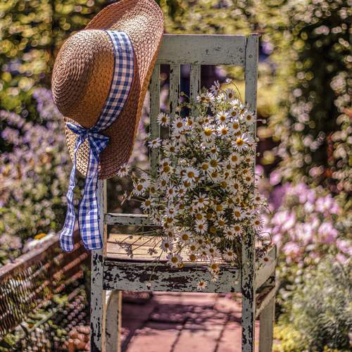 Photo #13727261