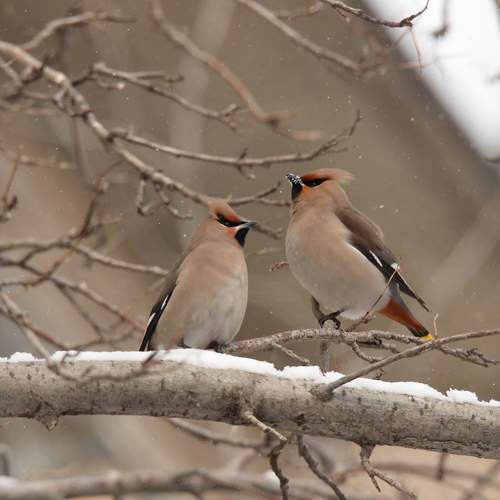 Photo #13727272