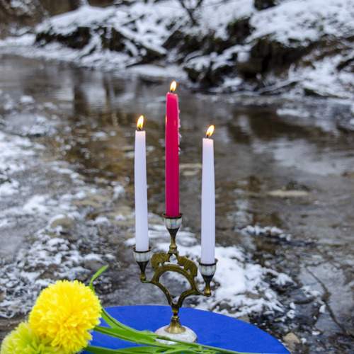 Photo #13727350